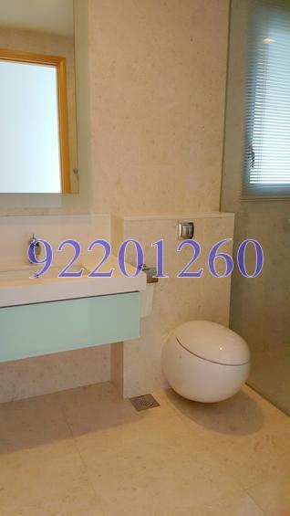 Grange Infinite (D9), Condominium #136324692